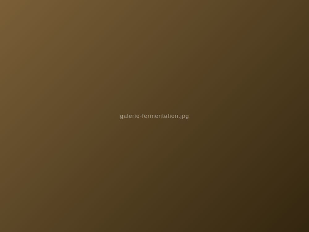 Fermentation
