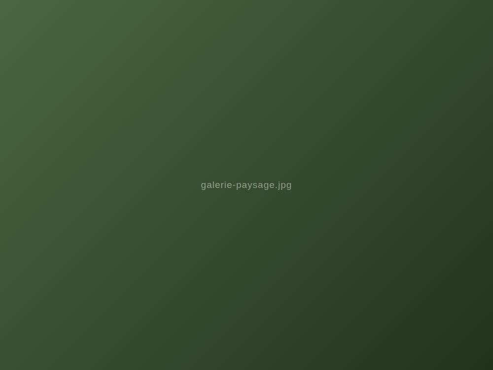 Paysages