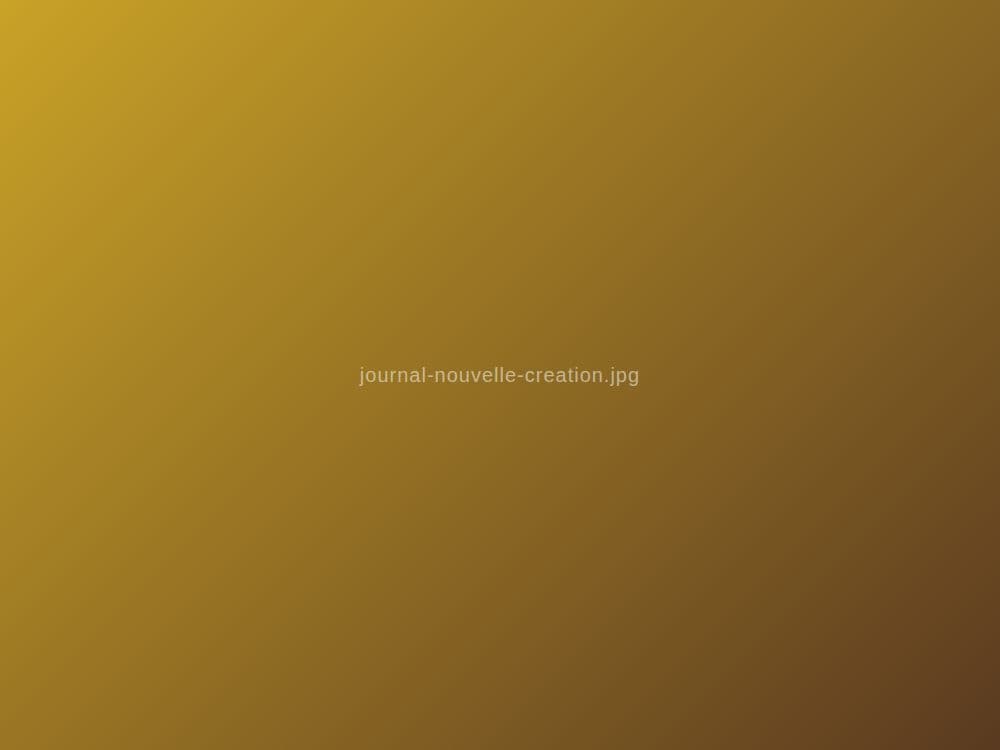 Naissance d'une nouvelle création.
