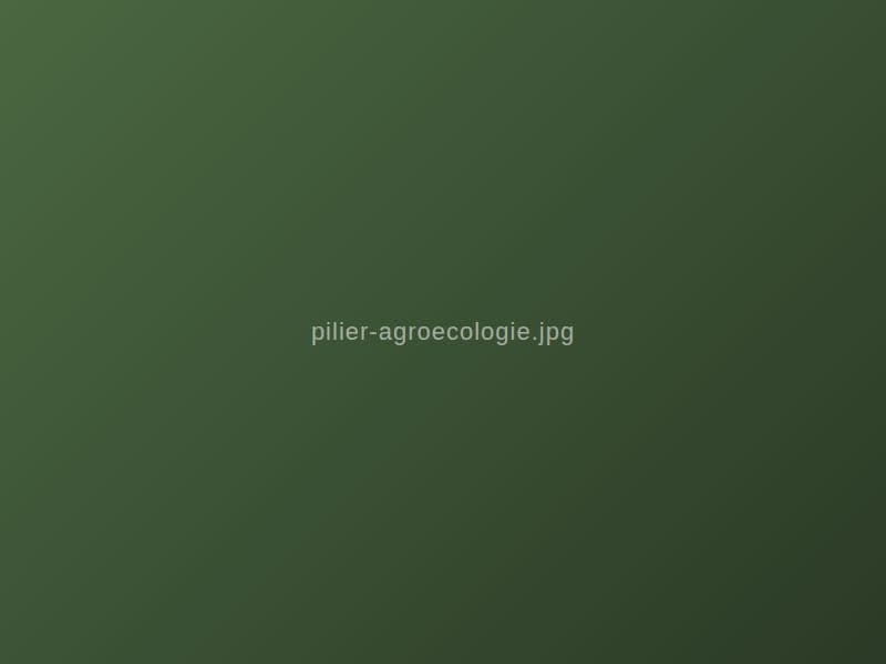 Agroécologie