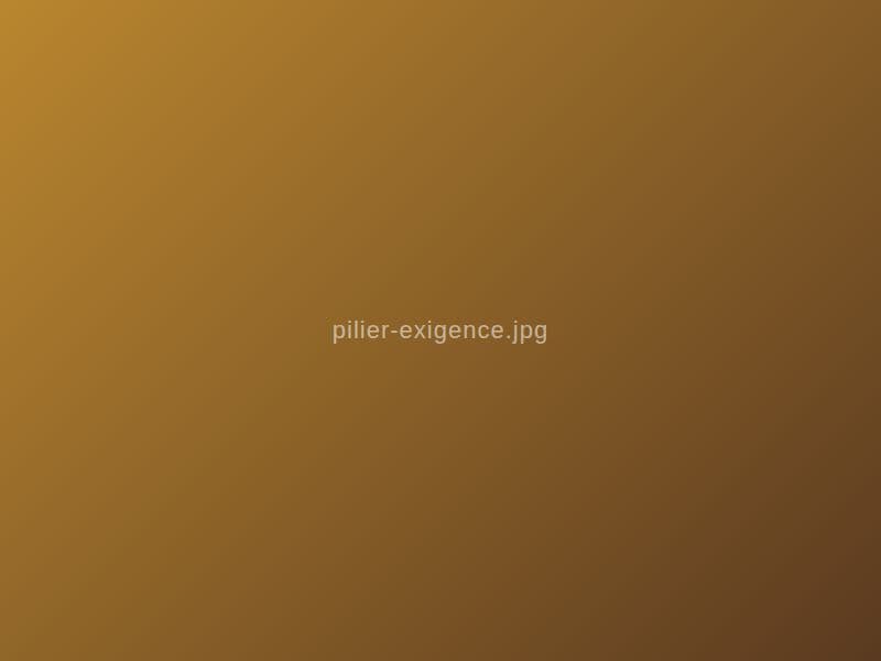 Exigence